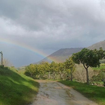 فيلا Swaynekloof Farm بوتريفيير المظهر الخارجي الصورة