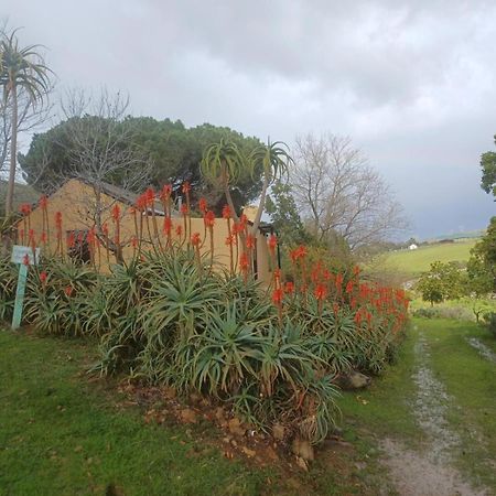 فيلا Swaynekloof Farm بوتريفيير المظهر الخارجي الصورة
