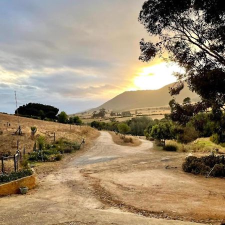 فيلا Swaynekloof Farm بوتريفيير المظهر الخارجي الصورة