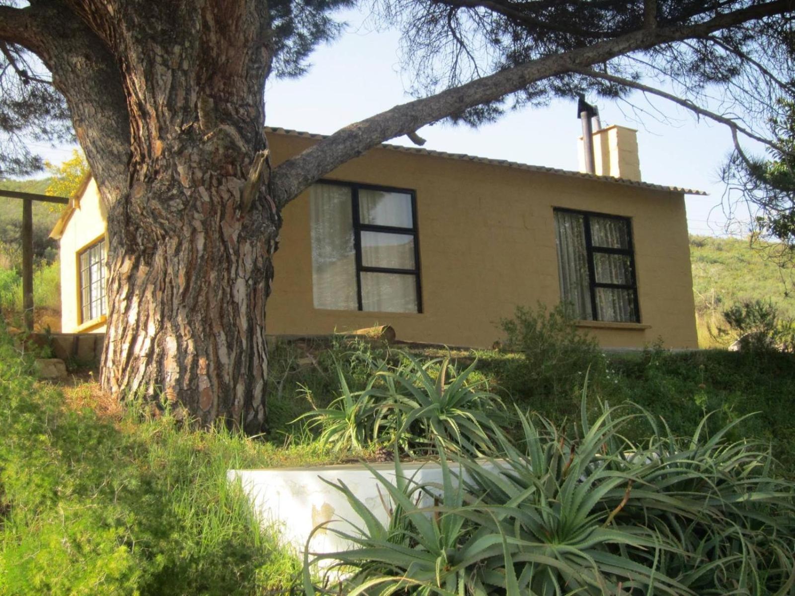 فيلا Swaynekloof Farm بوتريفيير الغرفة الصورة
