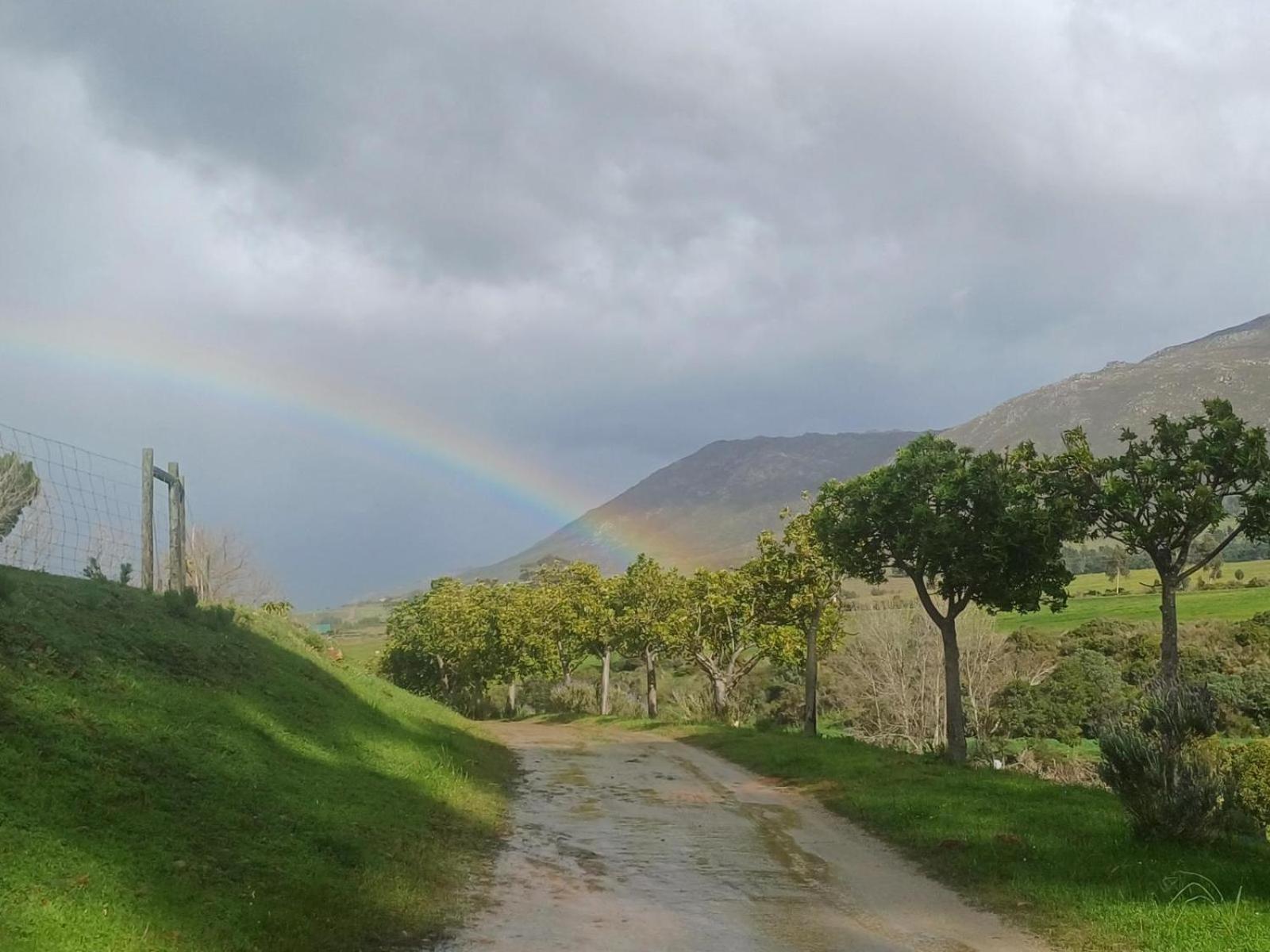 فيلا Swaynekloof Farm بوتريفيير المظهر الخارجي الصورة