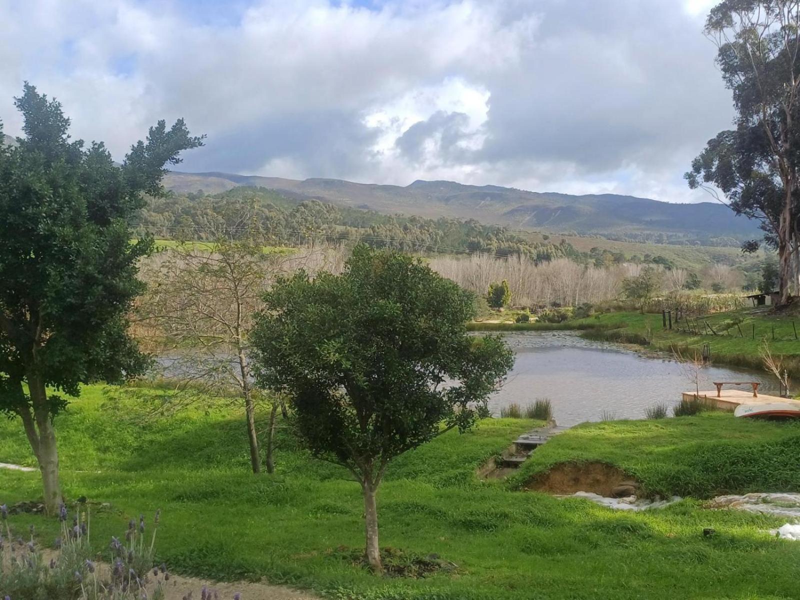 فيلا Swaynekloof Farm بوتريفيير المظهر الخارجي الصورة