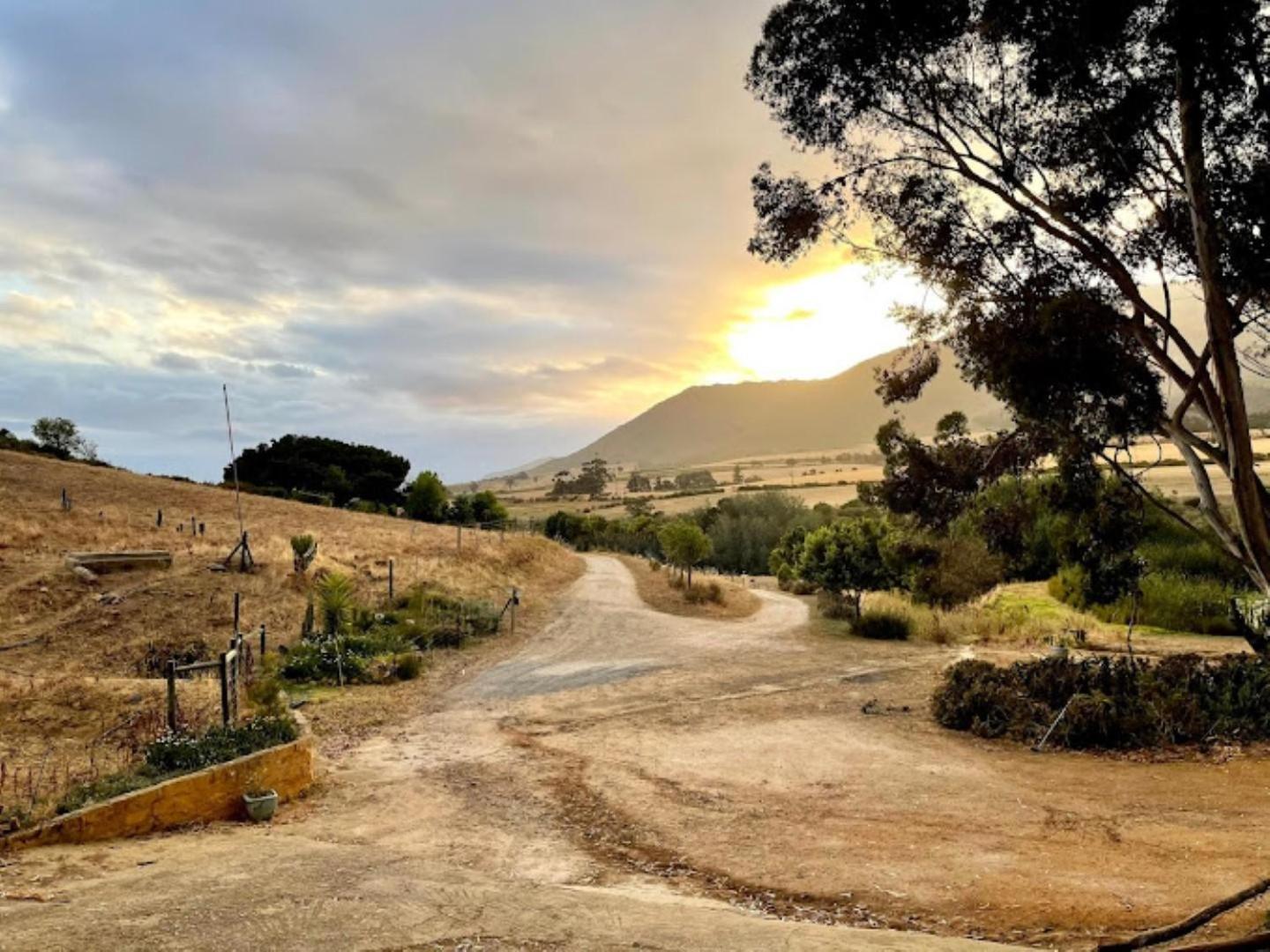 فيلا Swaynekloof Farm بوتريفيير المظهر الخارجي الصورة